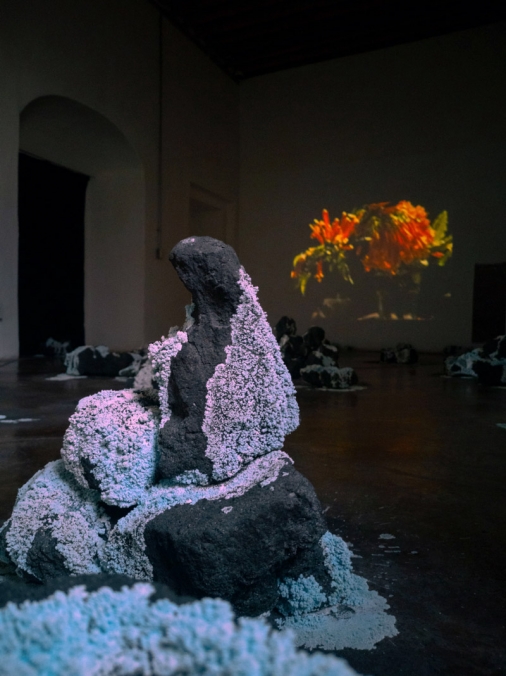 http://forums.mirunadragan.com/files/gimgs/th-71_HGM-Coal-W_IMG_20220920_111751(1)_1.jpg