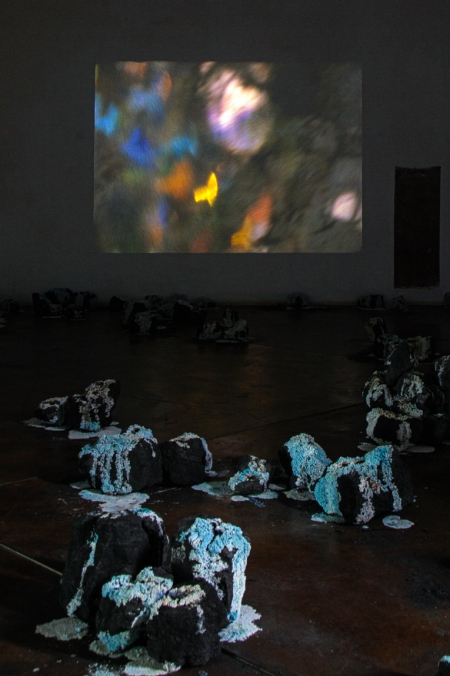 http://forums.mirunadragan.com/files/gimgs/th-71_IMG_4018_W.jpg